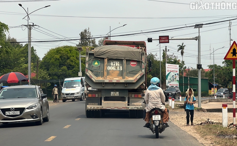 Xe chở c&aacute;t qu&aacute; tải lộng h&agrave;nh ở Đắk Lắk: CSGT đang x&aacute;c minh, xử l&yacute;- Ảnh 7.