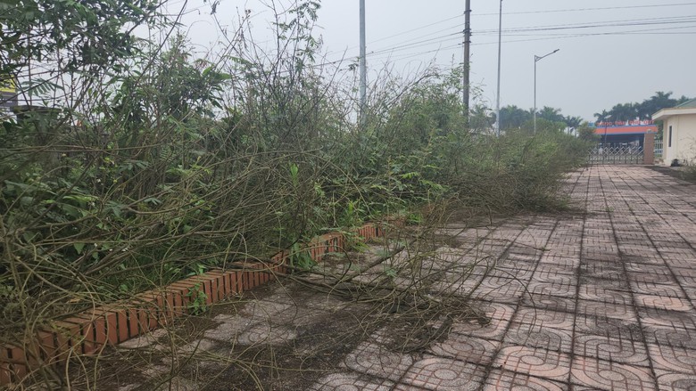 Trụ sở trạm kiểm dịch 8 tỷ bỏ hoang v&igrave; kh&ocirc;ng c&oacute; đường v&agrave;o- Ảnh 3.