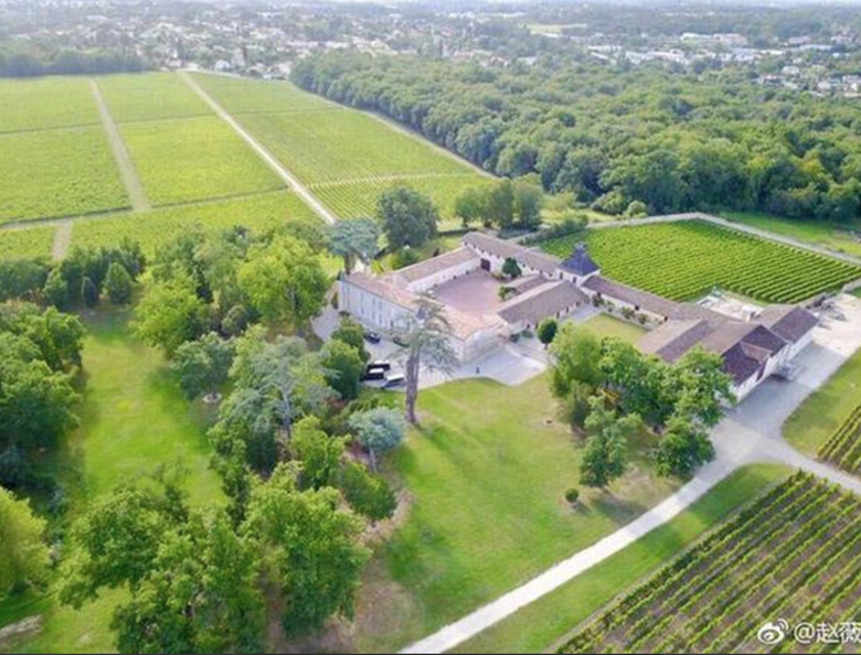 "&Eacute;n nhỏ" Triệu Vy vẫn sống ổn định nhờ kinh doanh sau phong s&aacute;t- Ảnh 4.