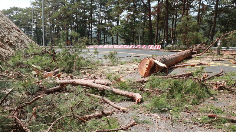 Đ&egrave;o Prenn Đ&agrave; Lạt sạt lở sau mưa: Tạm cấm c&aacute;c phương tiện lưu th&ocirc;ng- Ảnh 1.
