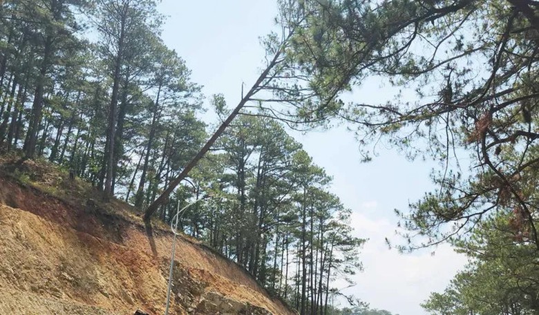 Đ&egrave;o Prenn Đ&agrave; Lạt sạt lở sau mưa: Tạm cấm c&aacute;c phương tiện lưu th&ocirc;ng- Ảnh 4.