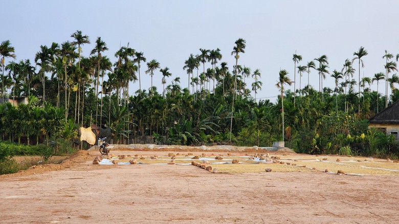 Công trường dự án đường ven biển gần 1.200 tỷ vắng lặng- Ảnh 9. Công trường dự án đường ven biển gần 1.200 tỷ vắng lặng- Ảnh 9.