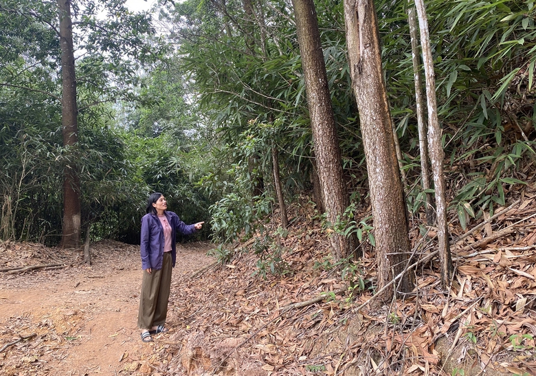 Quảng Ninh: D&acirc;n sống khổ b&ecirc;n dự &aacute;n hồ nước &ldquo;treo&rdquo;- Ảnh 1.