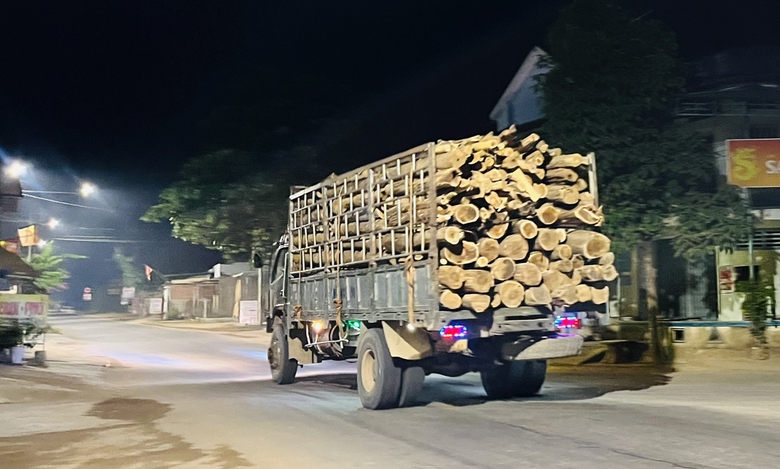 B&igrave;nh Định: Xe qu&aacute; tải tung ho&agrave;nh tr&ecirc;n đường tỉnh- Ảnh 2.