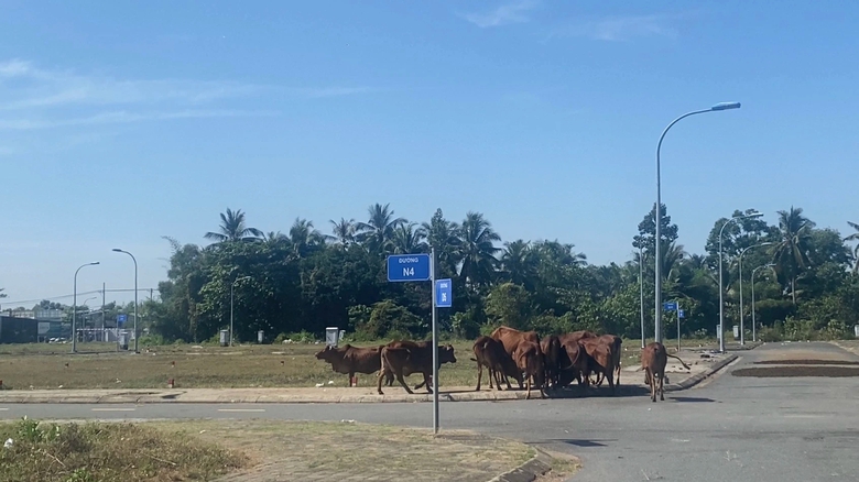 Tuyến đường l&agrave;m 8 năm vẫn đứt qu&atilde;ng ở TP Thủ Đức- Ảnh 10.