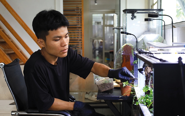 Kiếm tiền tỷ từ &yacute; tưởng đưa cả c&aacute;nh rừng&hellip; v&agrave;o chậu k&iacute;nh- Ảnh 1.