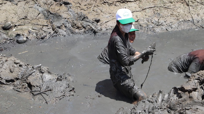 Nghỉ lễ về C&agrave; Mau quậy b&ugrave;n bắt c&aacute; l&oacute;c đồng- Ảnh 4.