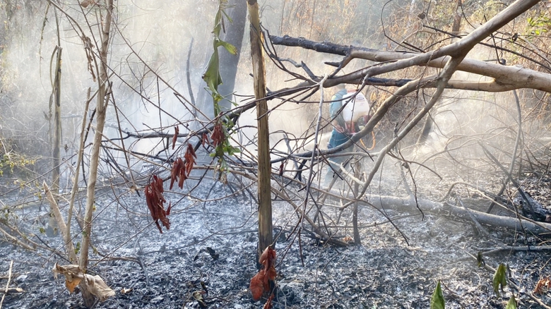 An Giang: Khống chế được đám cháy trên núi Tô- Ảnh 1. An Giang: Khống chế được đám cháy trên núi Tô- Ảnh 1.