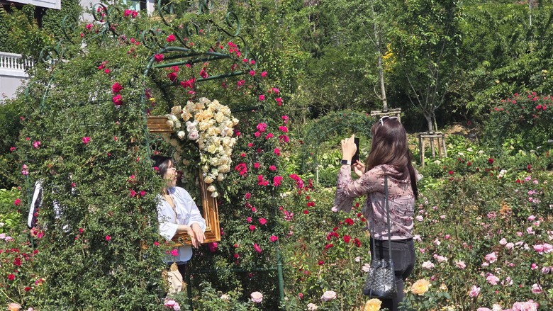 Lượng kh&aacute;ch đổ về Sa Pa, Đồng Văn, Tam Đảo dịp nghỉ lễ kh&ocirc;ng c&oacute; đột biến- Ảnh 6.