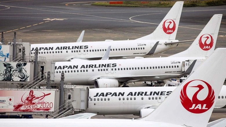 Chuyến bay của Japan Airlines từ Dallas (Mỹ) về Tokyo (Nhật Bản) đ&atilde; bị hủy sau khi phi c&ocirc;ng say rượu, g&acirc;y mất trật tự.