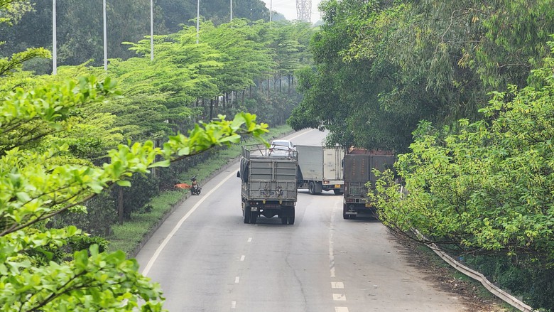 Bị xử lý lỗi dừng đỗ trên quốc lộ, tài xế trần tình đủ mọi lý do- Ảnh 3. Bị xử lý lỗi dừng đỗ trên quốc lộ, tài xế trần tình đủ mọi lý do- Ảnh 3.