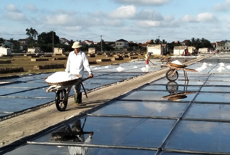 Nữ doanh nh&acirc;n t&igrave;m vị ngọt trong muối- Ảnh 3.