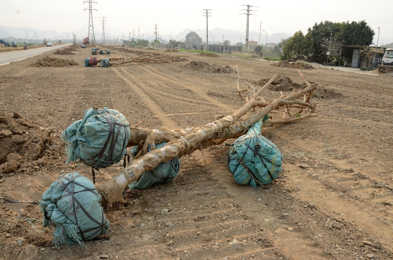 Ngắm trục h&agrave;nh lang Đ&ocirc;ng T&acirc;y 3.600 tỷ đồng của H&agrave; Nam từ tr&ecirc;n cao- Ảnh 15.