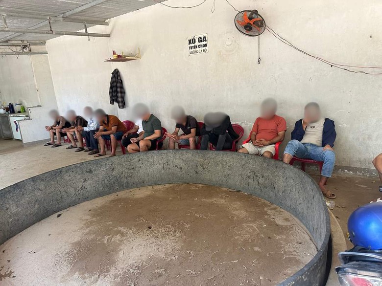 Nh&oacute;m nghi can tham gia đ&aacute; g&agrave; ăn tiền bị tạm giữ.