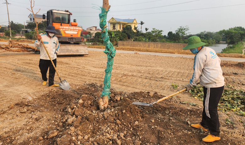 Ngắm trục h&agrave;nh lang Đ&ocirc;ng T&acirc;y 3.600 tỷ đồng của H&agrave; Nam từ tr&ecirc;n cao- Ảnh 16.