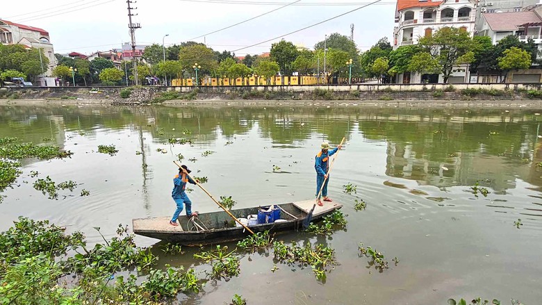 Hải Dương: H&agrave;ng chục tấn c&aacute; chết bất thường, nổi trắng ven s&ocirc;ng- Ảnh 13.