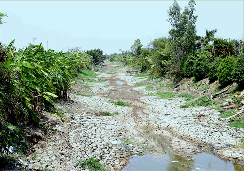 Để người miền T&acirc;y bớt kh&oacute; v&igrave; hạn mặn- Ảnh 1.