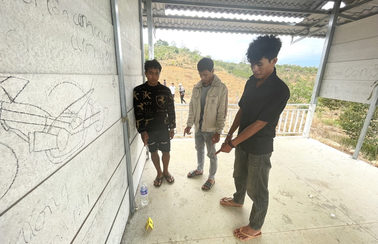 C&ocirc;ng an tạm giam 6 đối tượng bắt giữ người tr&aacute;i ph&aacute;p luật ở L&acirc;m Đồng- Ảnh 3.