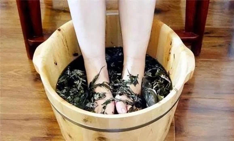 Loại rau qu&ecirc; cực bổ dưỡng, nhiều người kh&ocirc;ng biết đem vứt bỏ phần gốc "thần dược"- Ảnh 2.