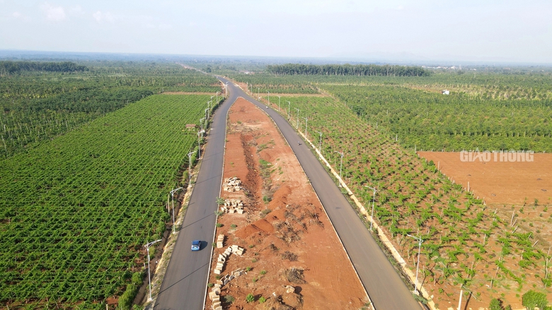 Đắk Lắk: Dự &aacute;n đường hơn 1.800 tỷ đồng gặp kh&oacute; v&igrave; mặt bằng- Ảnh 1.