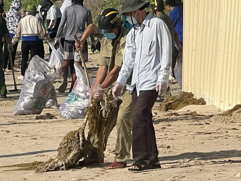 Khẩn trương thu gom dầu v&oacute;n cục dạt v&agrave;o bờ biển Mũi N&eacute;- Ảnh 2.