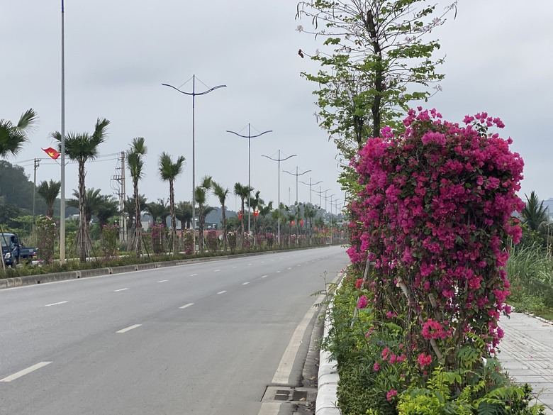 Bộ C&ocirc;ng an y&ecirc;u cầu r&agrave; so&aacute;t c&aacute;c dự &aacute;n trồng c&acirc;y xanh tại Quảng Ninh giai đoạn 2019-2023- Ảnh 1.