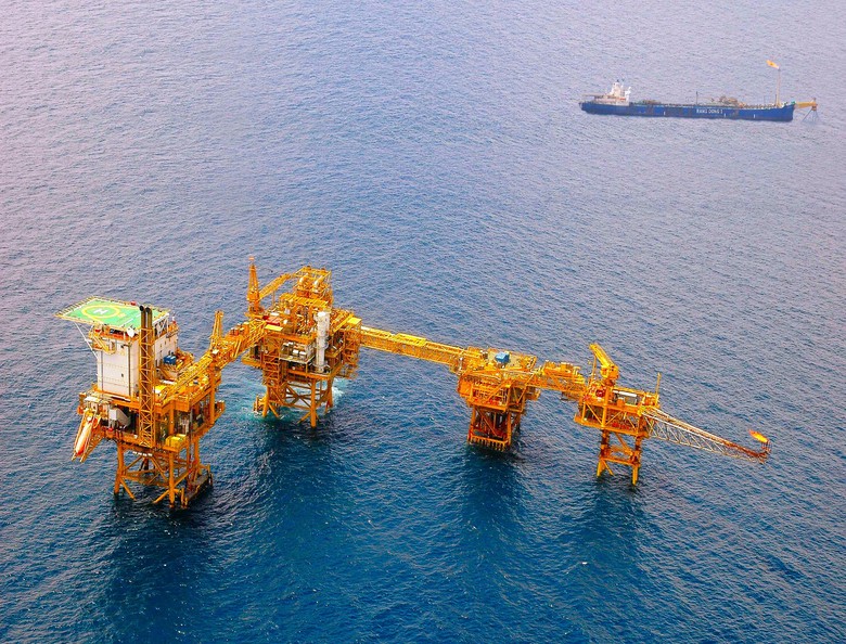 Petrovietnam tăng cường c&aacute;c giải ph&aacute;p tạo t&iacute;n chỉ carbon- Ảnh 1.