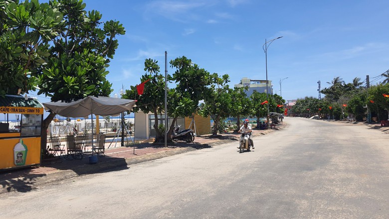 Quảng Ng&atilde;i b&aacute;o c&aacute;o Bộ C&ocirc;ng an những dự &aacute;n c&acirc;y xanh n&agrave;o?- Ảnh 1.