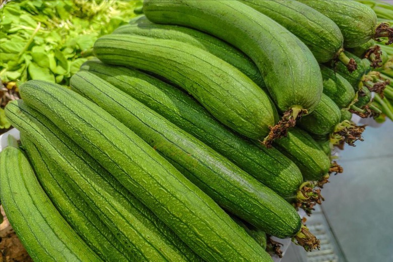 Người gi&agrave; dặn: 