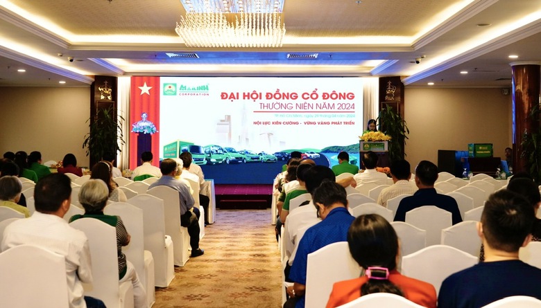 Hoạt động kinh doanh của C&ocirc;ng ty Cổ phần Tập đo&agrave;n Mai Linh khởi sắc- Ảnh 1.