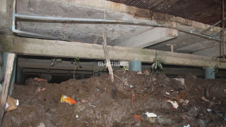 L&agrave;m r&otilde; nguy&ecirc;n nh&acirc;n sạt lở khiến 34 căn nh&agrave; ở Bạc Li&ecirc;u bị ảnh hưởng- Ảnh 2.