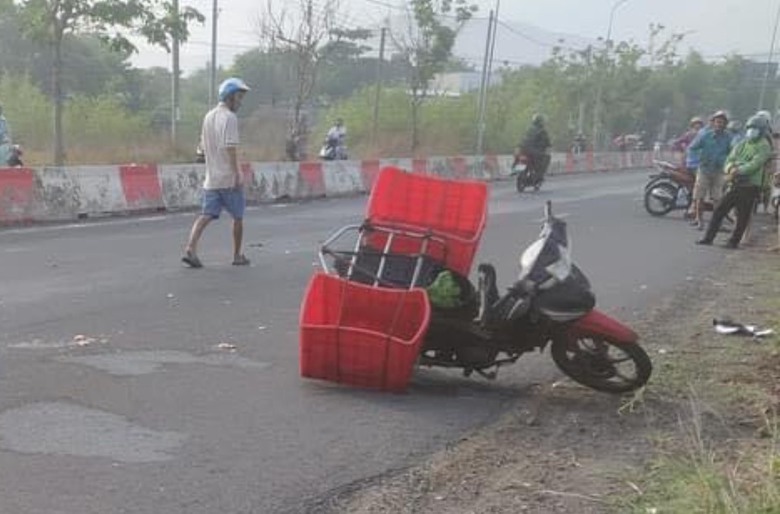 T&ocirc;ng tr&uacute;ng ch&oacute; thả r&ocirc;ng, người đ&agrave;n &ocirc;ng bị &ocirc; t&ocirc; c&aacute;n tử vong- Ảnh 1.