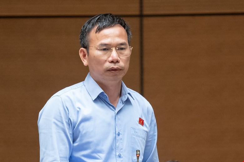 Đại biểu Quốc hội: Quy định chồng ch&eacute;o, liệu c&aacute;n bộ c&oacute; d&aacute;m nhắm mắt l&agrave;m?- Ảnh 2.