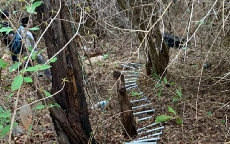 Phát hiện thi thể cô gái bị giấu trong vali trên núi Nhỏ ở Vũng Tàu- Ảnh 1. Phát hiện thi thể cô gái bị giấu trong vali trên núi Nhỏ ở Vũng Tàu- Ảnh 1.