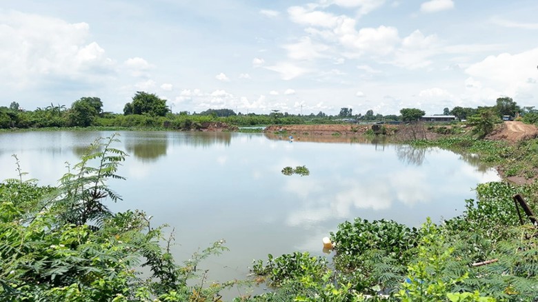 An Giang: X&aacute;c minh nghi vấn lợi dụng nạo v&eacute;t ao c&aacute; để khai th&aacute;c c&aacute;t tr&aacute;i ph&eacute;p- Ảnh 2.