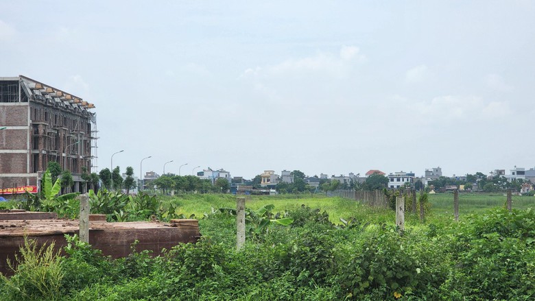 Thái Bình: Đường gần 480 tỷ đồng sau 3 năm vẫn "nằm trên giấy"- Ảnh 1. Thái Bình: Đường gần 480 tỷ đồng sau 3 năm vẫn "nằm trên giấy"- Ảnh 1.