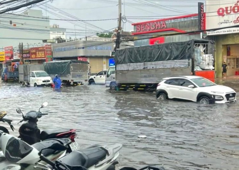 Bắt tr&uacute;ng bệnh để xử l&yacute; c&aacute;c điểm ngập tr&ecirc;n QL1 v&agrave; QL51 qua Đồng Nai- Ảnh 1.