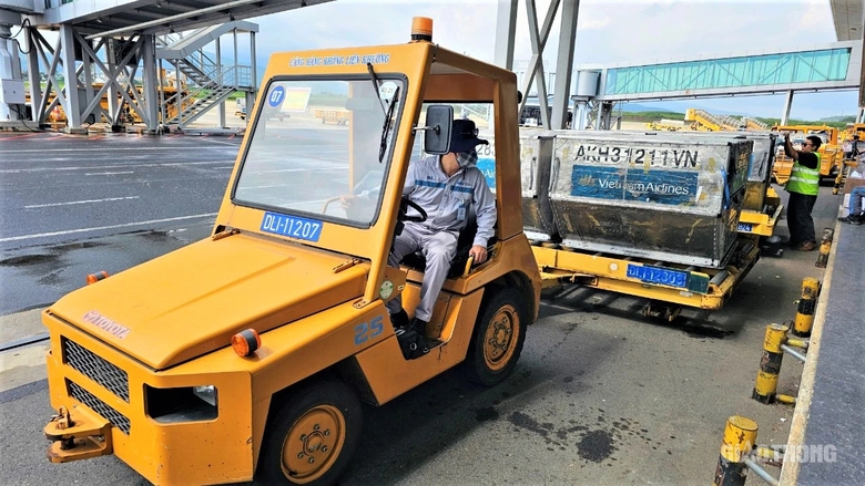 Sân bay Liên Khương - bông dã quỳ khoe sắc trên cao nguyên xanh- Ảnh 11. Sân bay Liên Khương - bông dã quỳ khoe sắc trên cao nguyên xanh- Ảnh 11.