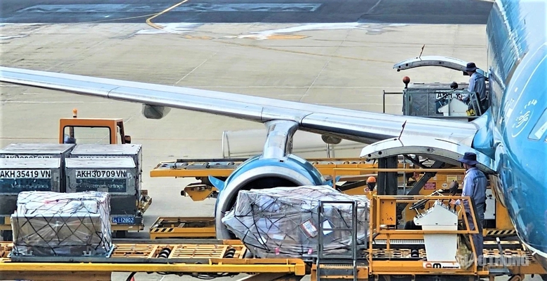 Sân bay Liên Khương - bông dã quỳ khoe sắc trên cao nguyên xanh- Ảnh 12. Sân bay Liên Khương - bông dã quỳ khoe sắc trên cao nguyên xanh- Ảnh 12.