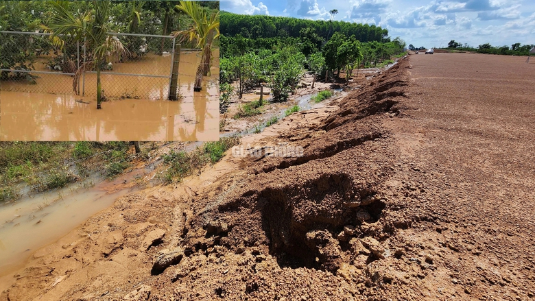 Khắc phục việc xẻ r&atilde;nh tho&aacute;t nước khi thi c&ocirc;ng cao tốc g&acirc;y ngập vườn c&acirc;y- Ảnh 1.