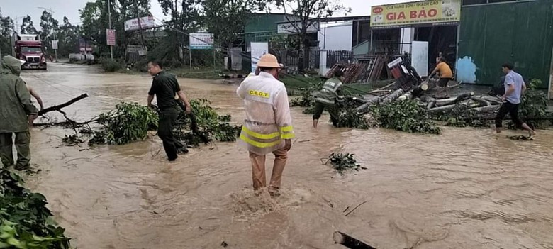 L&acirc;m Đồng: Mưa lớn k&egrave;m gi&oacute; giật mạnh khiến c&acirc;y đổ, tắc nhiều tuyến đường- Ảnh 2.