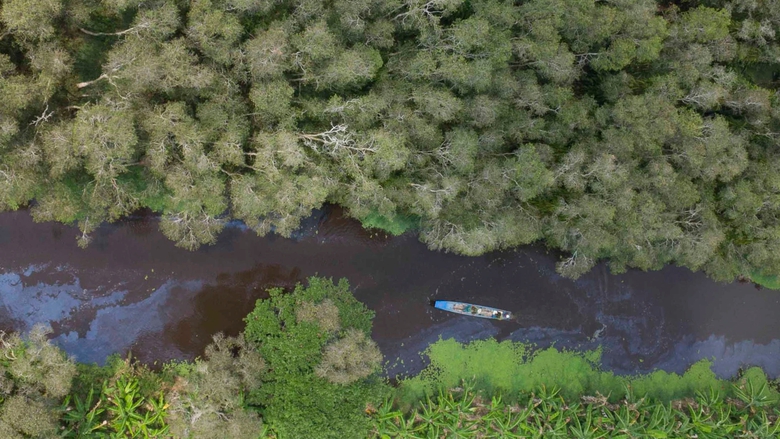 C&agrave; Mau xử l&yacute; tr&aacute;ch nhiệm nguy&ecirc;n l&atilde;nh đạo C&ocirc;ng ty L&acirc;m nghiệp Ngọc Hiển ra sao?- Ảnh 1.