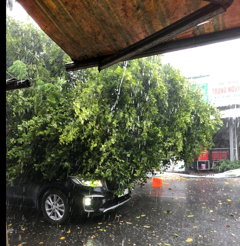 Mưa lớn tại TP.HCM: Nh&agrave; tốc m&aacute;i, c&acirc;y bật gốc đ&egrave; tr&uacute;ng &ocirc; t&ocirc;- Ảnh 3.