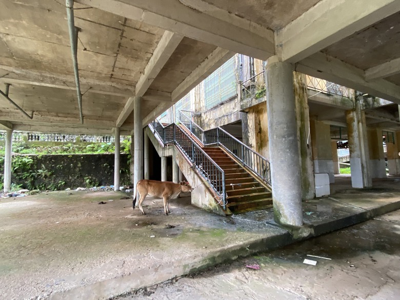 Quảng Ninh: Thiếu đường trục ch&iacute;nh, chợ triệu đ&ocirc; ế ẩm- Ảnh 4.