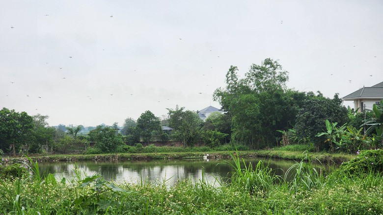 Th&aacute;i B&igrave;nh: Vướng mặt bằng, dự &aacute;n đường ngh&igrave;n tỷ nguy cơ chậm tiến độ- Ảnh 4.