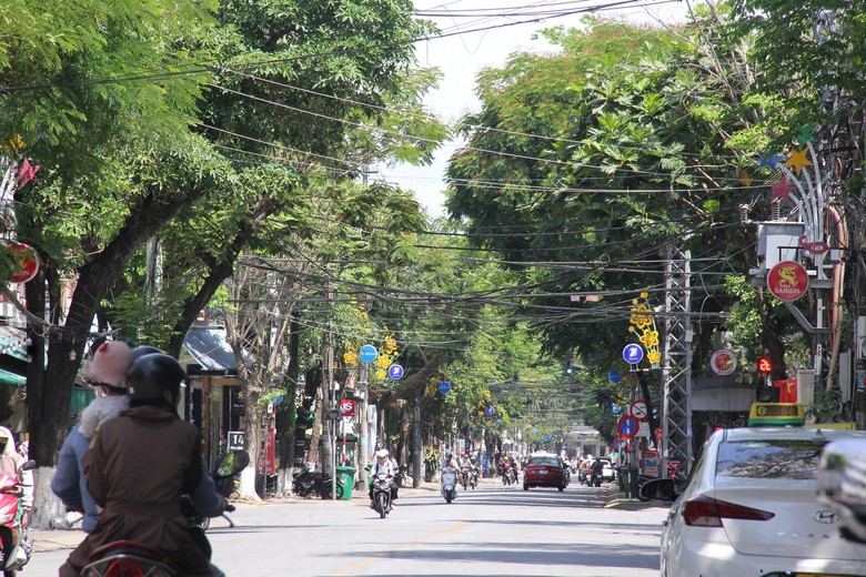 Bộ C&ocirc;ng an y&ecirc;u cầu Quảng Ng&atilde;i cung cấp t&agrave;i liệu c&aacute;c dự &aacute;n trồng, chăm s&oacute;c c&acirc;y xanh- Ảnh 1.