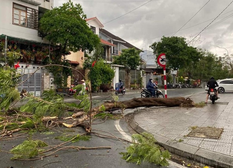 Gi&ocirc;ng s&eacute;t, lốc xo&aacute;y ở Huế l&agrave;m nhiều c&acirc;y xanh g&atilde;y đổ, nh&agrave; tốc m&aacute;i- Ảnh 1.