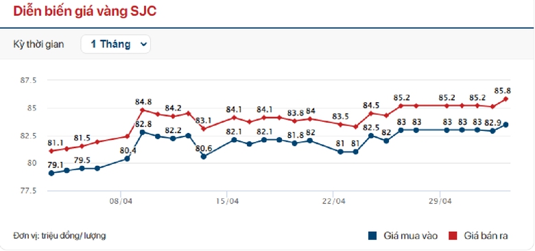Bất cập cơ chế đấu thầu v&agrave;ng miếng, sửa thế n&agrave;o?- Ảnh 2.