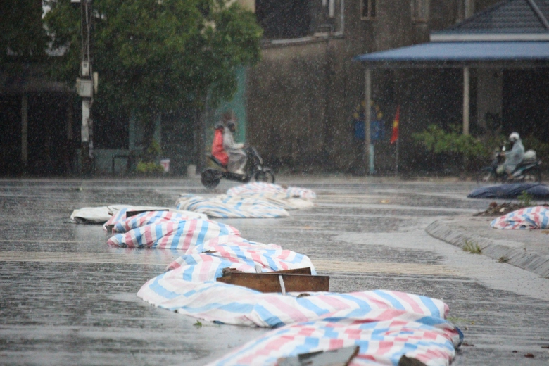 Mưa lớn k&egrave;m lốc xo&aacute;y l&agrave;m h&agrave;ng trăm ha l&uacute;a sắp thu hoạch ở Quảng Trị đổ rạp- Ảnh 3.
