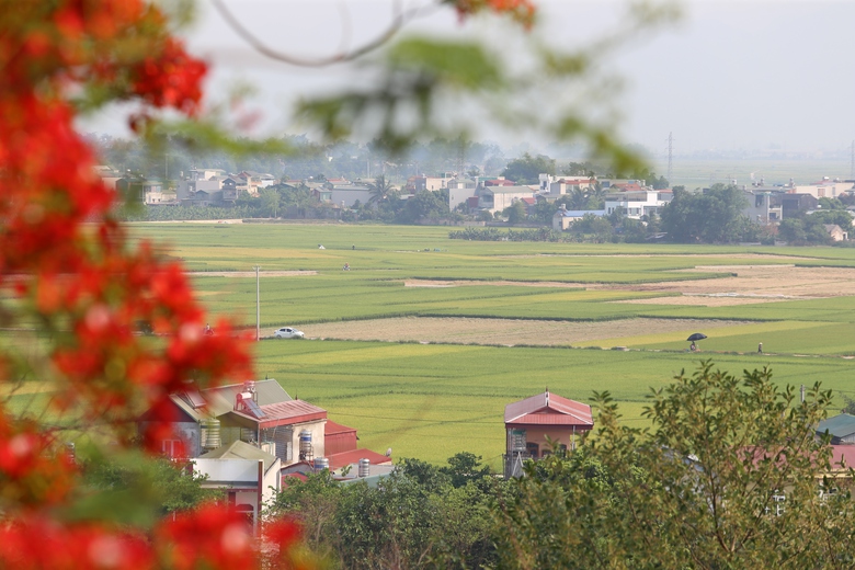 Du khách nườm nượp đổ về di tích đồi A1- Ảnh 22. Du khách nườm nượp đổ về di tích đồi A1- Ảnh 22.